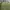 Vintage Streetwear Puffer jacket Pria green photo 2