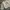 Vintage Streetwear Fleece Wanita white photo 3