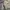 Vintage Streetwear Fleece Pria tan photo 3