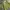 Vintage Streetwear Kimono Pria green photo 3