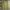 Vintage Streetwear Kimono Pria green photo 6
