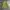 Vintage Streetwear Kimono Pria green photo 1