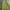 Vintage Streetwear Kimono Pria green photo 2