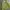 Vintage Streetwear Kimono Pria Green