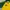 Umbro Vintage Sportswear Jersey Pria green yellow photo 3