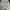 Vintage High waisted jeans Wanita white blue photo 2