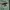 Tommy Hilfiger Streetwear Y2K Casual shirt Pria green photo 2