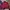 Streetwear Sportswear Bomber jacket Pria multicolor photo 2
