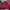 Streetwear Sportswear Bomber Jacket Pria Multicolor