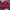 Streetwear Sportswear Bomber jacket Pria multicolor photo 1