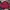Streetwear Sportswear Bomber Jacket Pria Multicolor