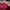 Streetwear Sportswear Bomber jacket Pria multicolor photo 6