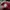 Streetwear Sportswear Bomber jacket Pria multicolor photo 5