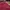 Streetwear Sportswear Bomber jacket Pria multicolor photo 8