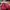 Streetwear Sportswear Bomber jacket Pria multicolor photo 7