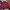 Streetwear Sportswear Bomber jacket Pria multicolor photo 3