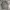 Vintage Biker Harrington jacket Pria gray photo 7