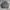 Vintage Biker Harrington jacket Pria gray photo 1