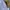 Champion Minimalist Sweater Wanita white photo 5