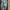 Adidas Streetwear Sportswear Sneakers Pria white blue photo 2
