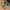 New Balance Streetwear Sportswear Sneakers Pria gray photo 4