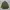 Casual Parka Wanita green photo 5