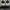 Chanel Casual Sneakers Wanita multicolor photo 3