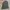 Carhartt Vintage Hat Pria black photo 4