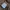 Carhartt Vintage Hat Pria brown photo 2