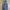 Vintage Jeans Pria blue photo 4