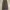 Vintage Pria brown photo 5