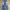 Vintage Jeans Pria blue photo 3