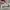 Adidas Casual Casual shoe Pria white photo 4