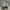 Adidas Casual Casual shoe Pria white photo 3