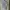 Nike Sportswear Polo shirt Pria white photo 5