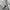Life Work Streetwear Sweatshirt Pria gray photo 4