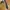 Japanese brand Luxury Pria multicolor photo 1