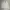 Polo Ralph Lauren Vintage Y2K Harrington Jacket Pria White Cream