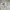 Polo Ralph Lauren Vintage Y2K Harrington Jacket Pria White Cream