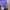 Streetwear Gorpcore Tracksuit Pria purple photo 5