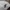 Nike Streetwear Sportswear Track jacket Pria gray photo 5