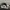 Nike Streetwear Sportswear Sneakers Pria multicolor black photo 2