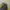 Puma Sportswear Track jacket Pria yellow black photo 4