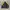 Puma Sportswear Track jacket Pria yellow black photo 2