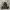 Puma Sportswear Track Jacket Pria Yellow Black