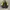 Puma Sportswear Track jacket Pria yellow black photo 3