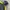Puma Sportswear Track jacket Pria yellow black photo 5