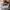 Casual Sweatshirt Pria gray photo 5