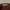 Casual Sweatshirt Pria brown photo 5