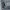 Balenciaga Luxury Avant Garde Jeans Pria blue photo 6